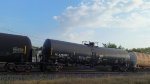 TCLX 290087